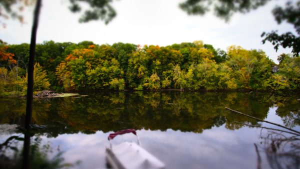 Desktop Series - Autumn I - Image 5