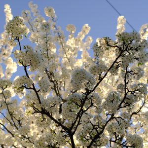2021-04-22 Album Example_WEB_01