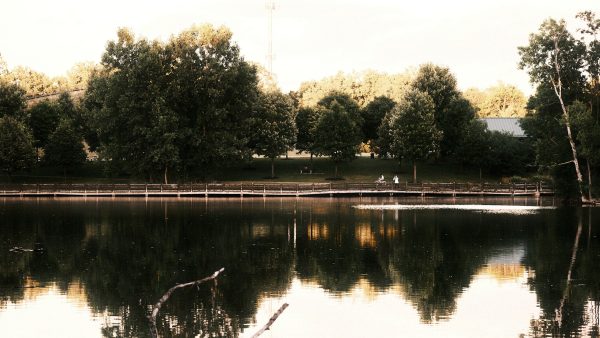 Hawk Island Reflections - Image 4