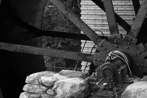 Peak Fall Northville - Image 6