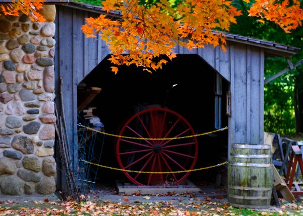 Peak Fall Northville - Image 3