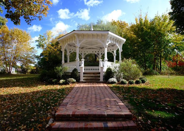 Peak Fall Northville - Image 4