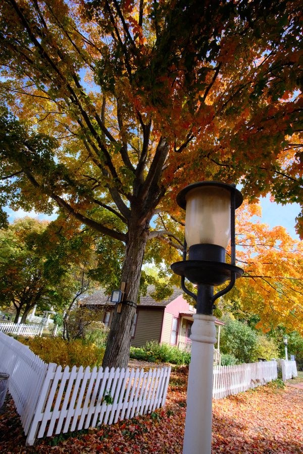 Peak Fall Northville
