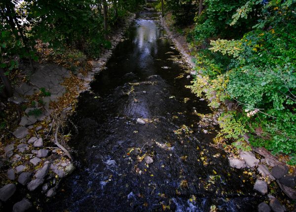 Peak Fall Northville - Image 8