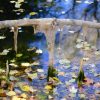 Peak Fenner Fall - Image 3