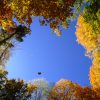 Peak Fenner Fall