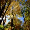 Peak Fenner Fall - Image 2