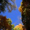 Peak Fenner Fall - Image 7
