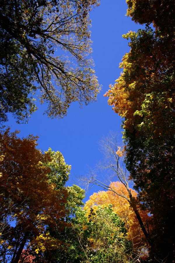 Peak Fenner Fall - Image 7