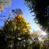 Peak Fenner Fall - Image 5