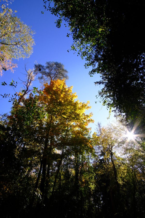 Peak Fenner Fall - Image 5
