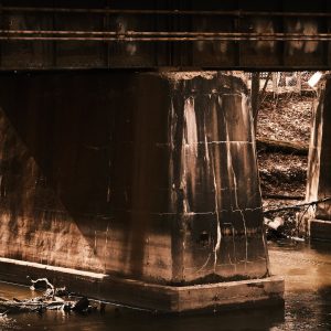 Red Cedar Riverbank Thaw