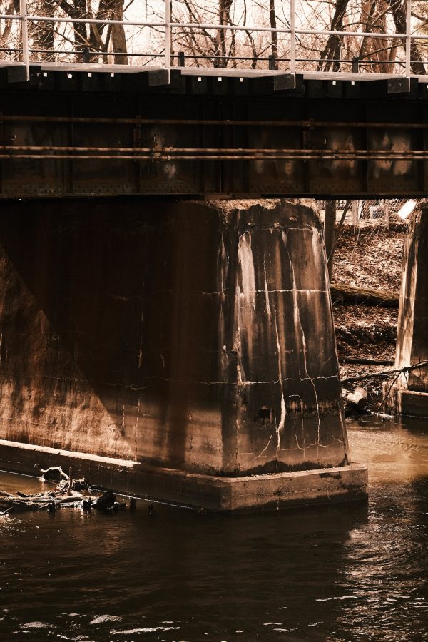 Red Cedar Riverbank Thaw