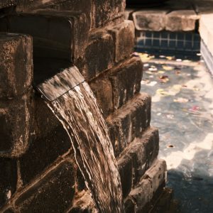 Northville Aqua Shear