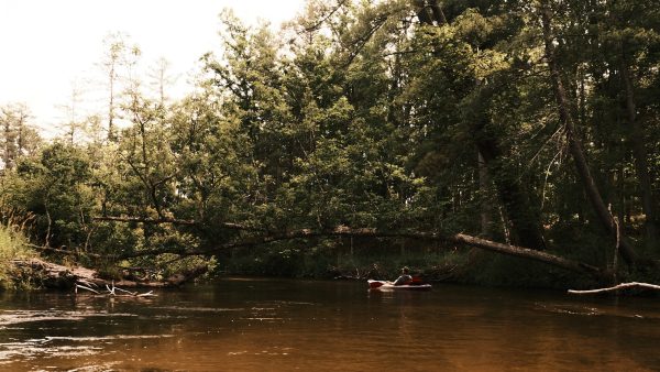 Baldwin Kayak Drift