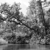 Baldwin Kayak Drift - Image 5