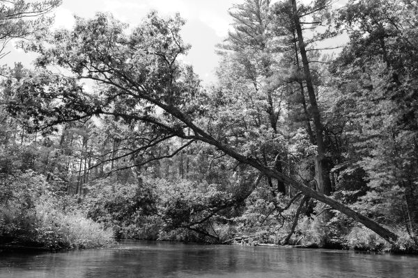 Baldwin Kayak Drift - Image 5