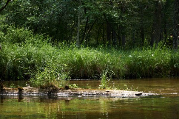 Baldwin Kayak Drift - Image 6