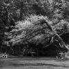 Baldwin Kayak Drift - Image 3