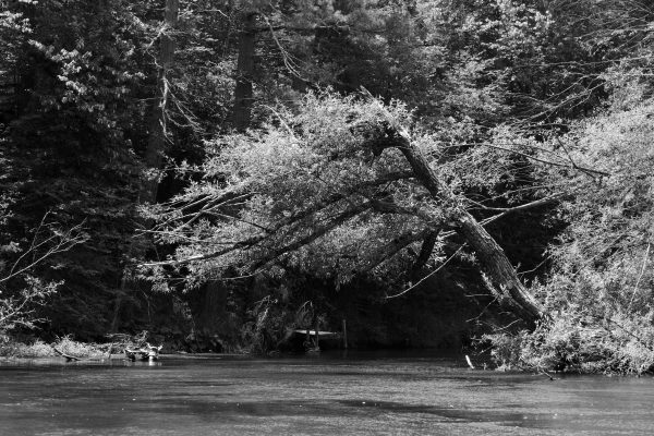 Baldwin Kayak Drift - Image 3