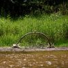 Baldwin Kayak Drift - Image 4