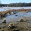 Lost Lake Loop