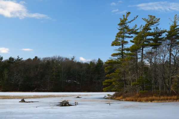 Lost Lake Loop - Image 2