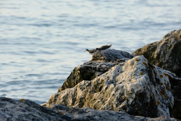 Wisconsin on the Water - Image 7