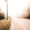 Morning Shroud - Image 4
