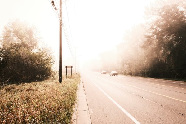 Morning Shroud - Image 4
