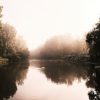 Morning Shroud - Image 3