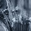 Forest Shards - Image 2