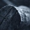 Forest Shards - Image 4