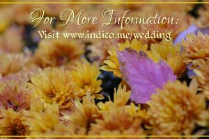 Celebratory Stationary - Wedding - Wedding