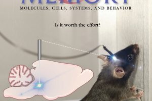 LAM_28_4_coverfig Web